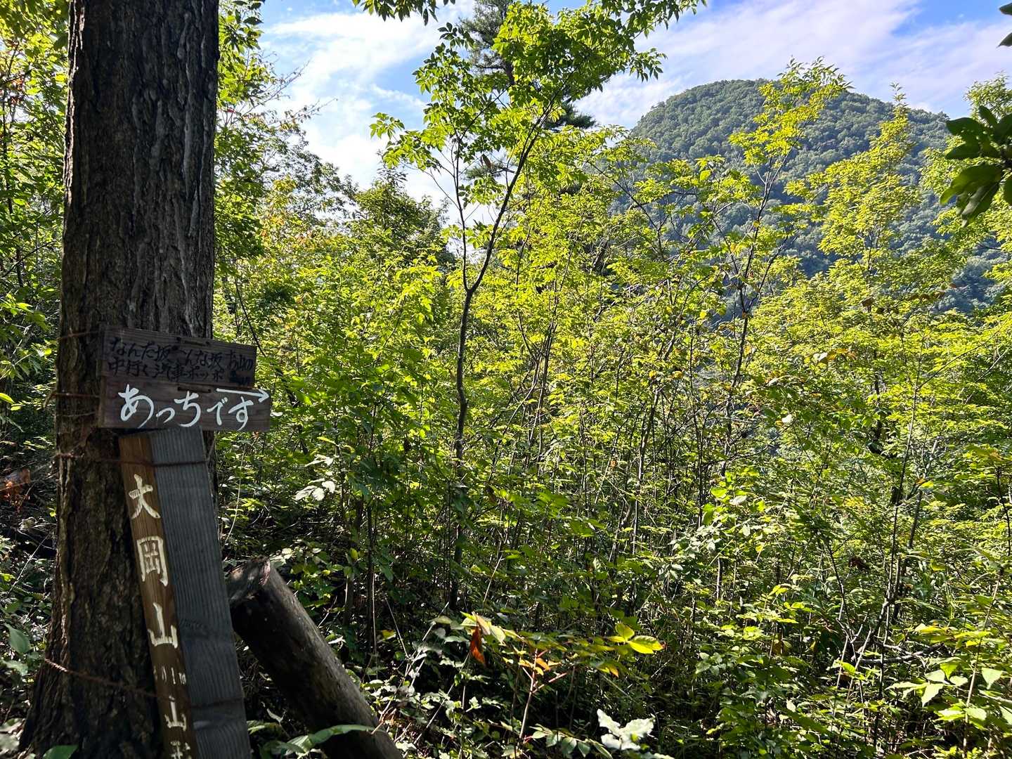 小菰石山-大岡山 往復コースの写真