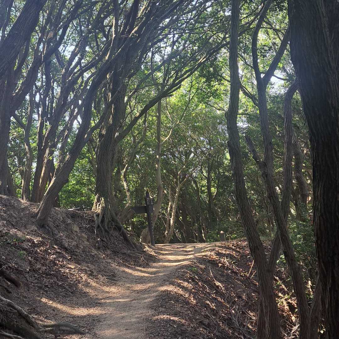復路、鉄拐山スルーあたり😁