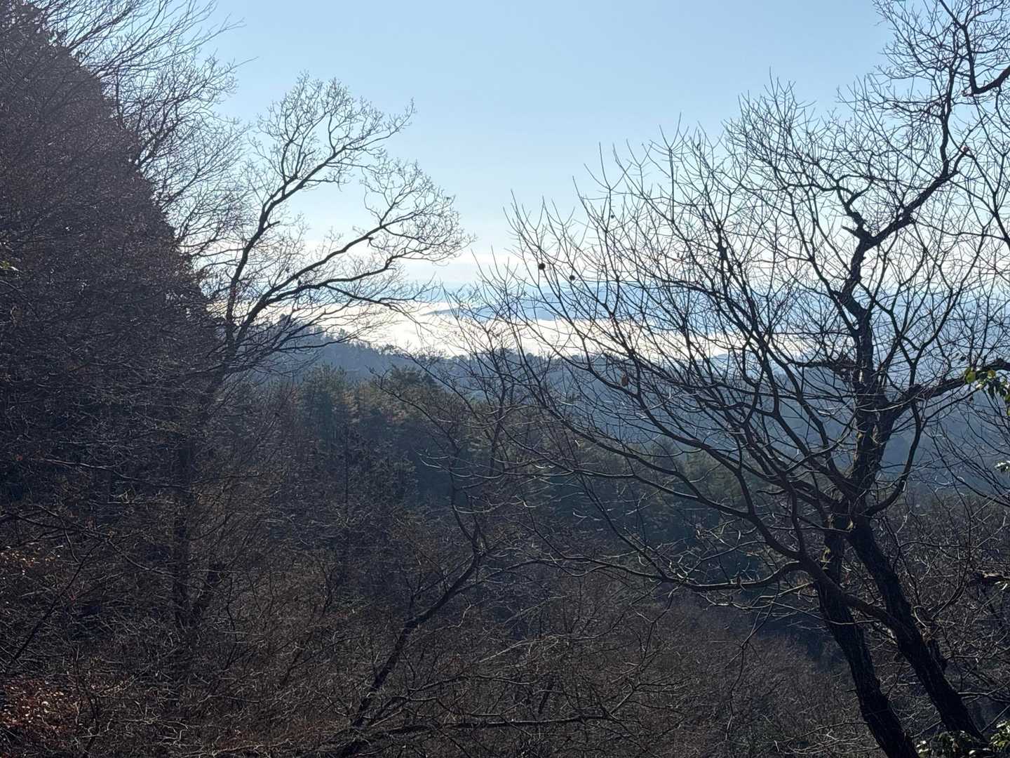 雲海が見える