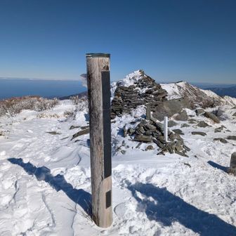 エビの尻尾が無くなった標識