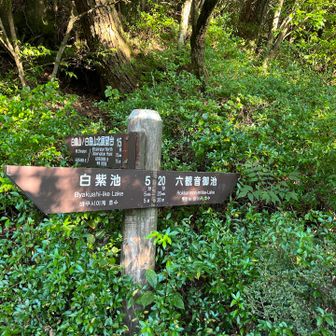 池まで行って休憩