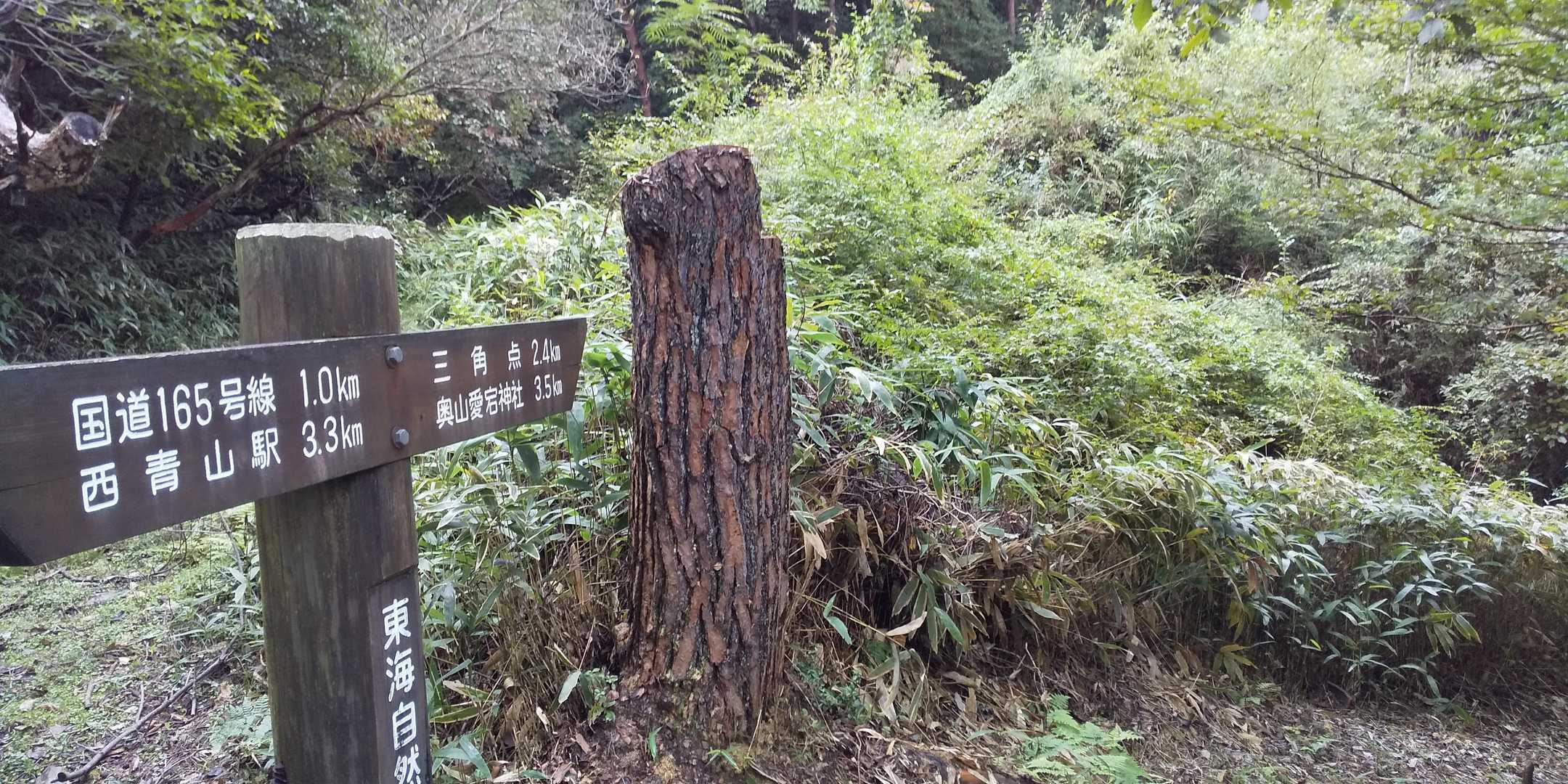 どっちよ。