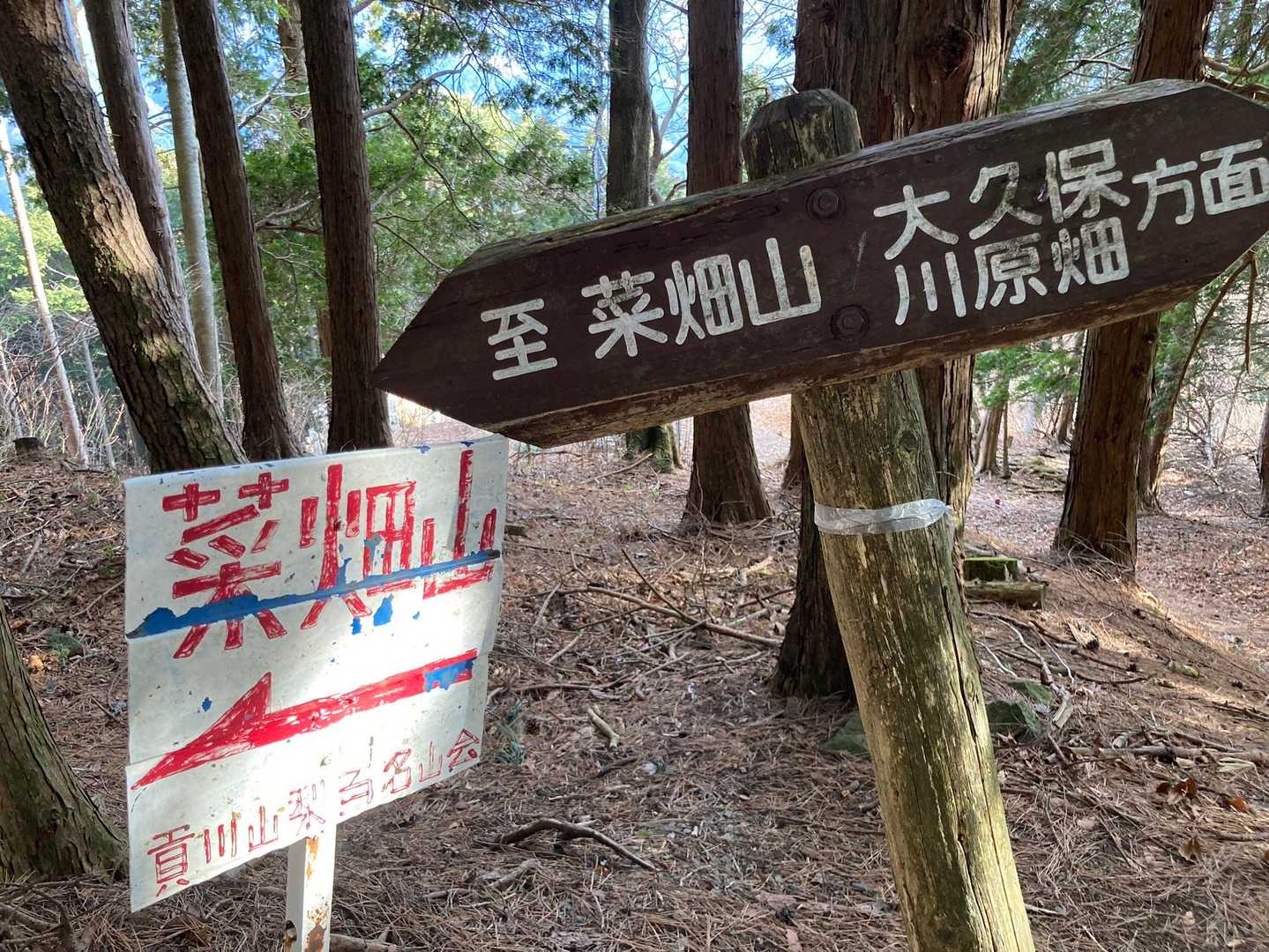 菜畑山…次に来るとしたら今倉山から縦走ですね♪
さてと、帰りの下り運転も緊張感を持って…。
本日はショートコース３本💡
慌ただしく歩いてしまってもったいなかったけど、
時間を気にしながら、こなす感じが意外にも楽しかった😀