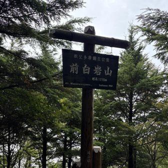 前白岩山
この辺りも歩きにくく
ペースが上がりません😅