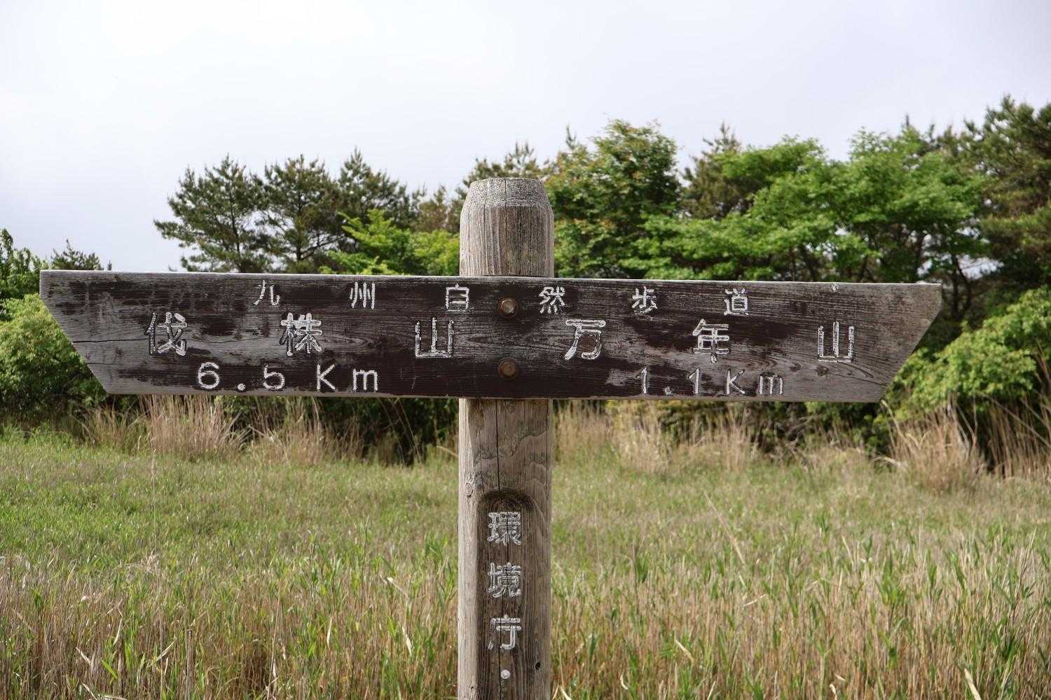 所々にこーゆー看板が！助かります🫡