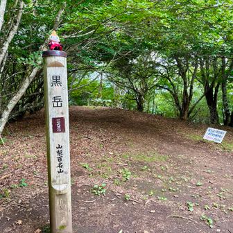 黒岳からツインテラス側に向かいますね
( ´ ` )
