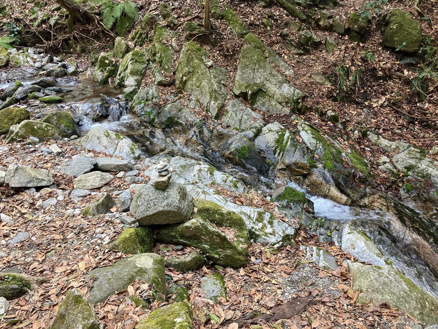 (5)