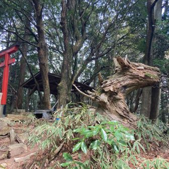 見事！私の1番のお気に入りです。