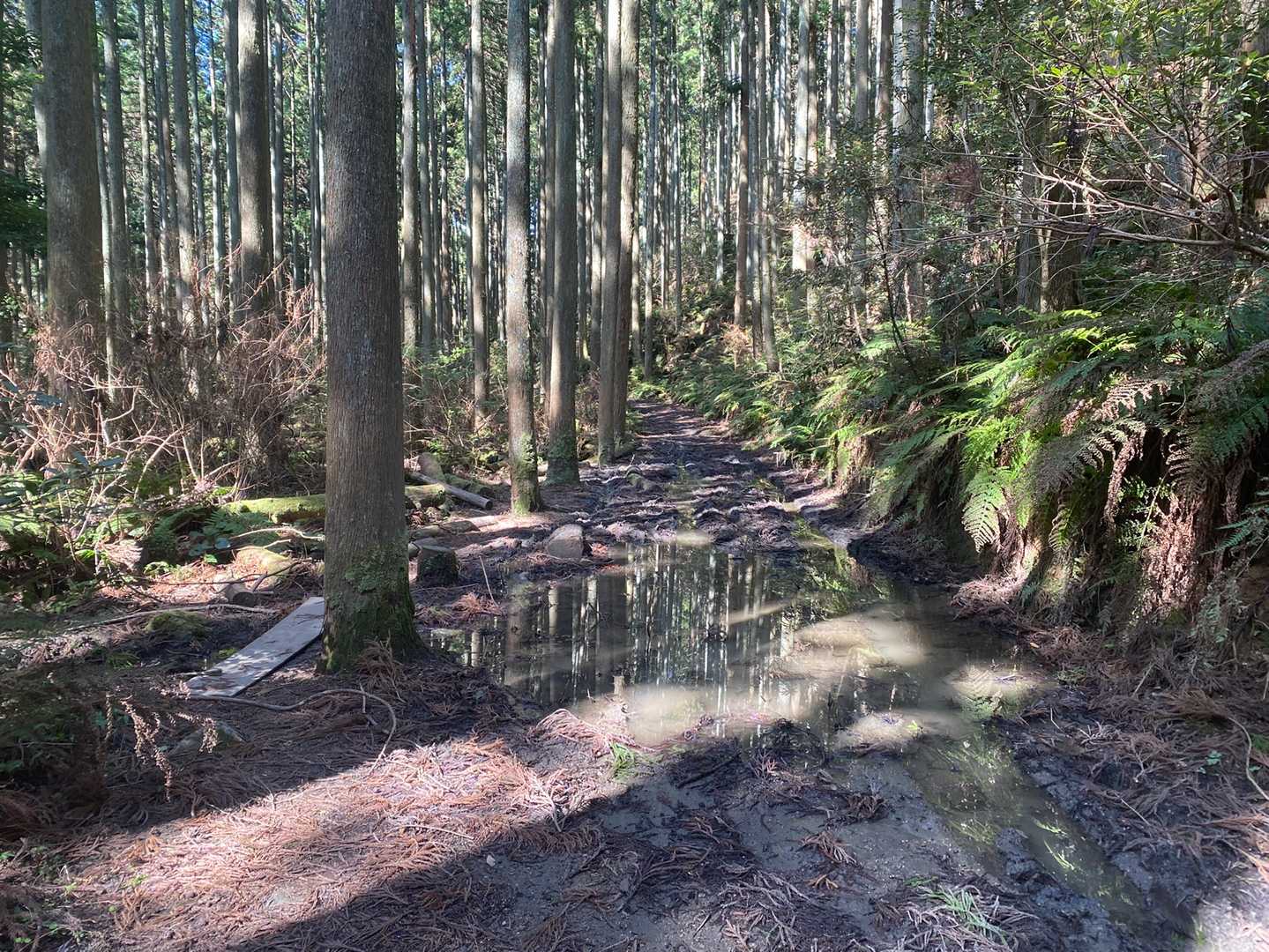 ぬかるみの端に板渡してあり助かりました🙏
