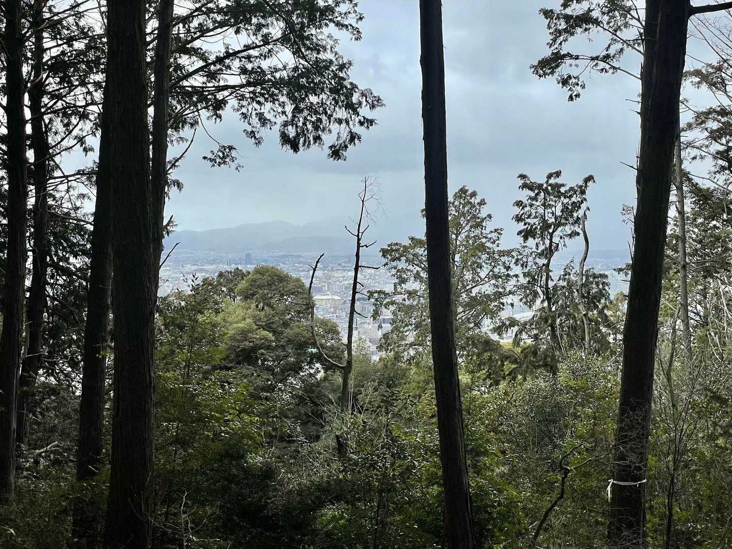 小雨降ってのモヤモヤの京都の街並みはちょっと残念でした😶‍🌫️
