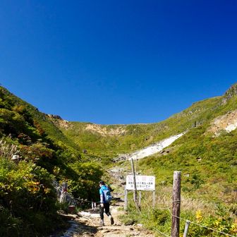 ここから先が急登区間です。歳ですね車道歩きでまだ山登って無いのになんか疲れた。