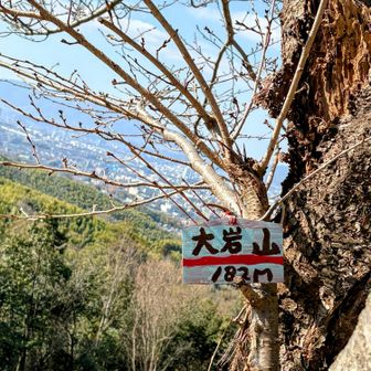 ここまで誰にも合わなかったけど
山頂は賑やかでした。