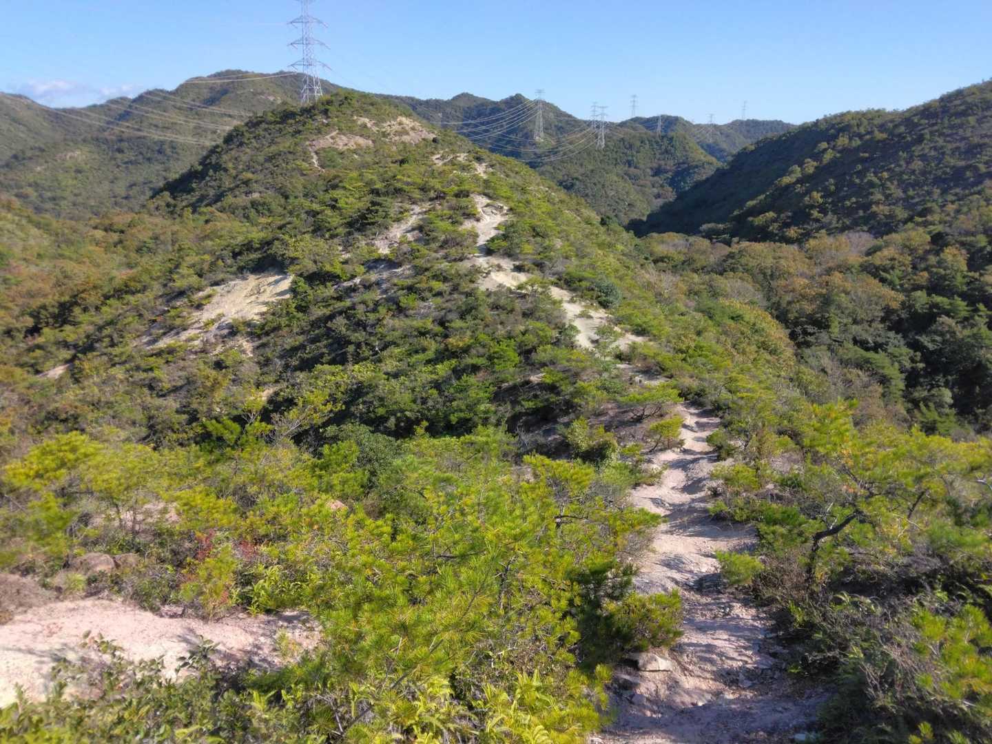 馬の背登山口-桶居山 往復コースの写真