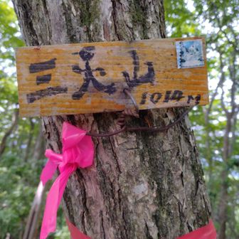 先ずは、最初のピークの三人山。
眺望等もなく単なる経由地な為、そのままスルーで先へと進みます。