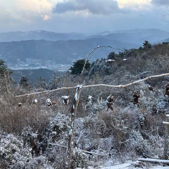 雪のマスコットたちと勝浦方面の景色
