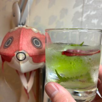 健坊　（トレラン完走職人）