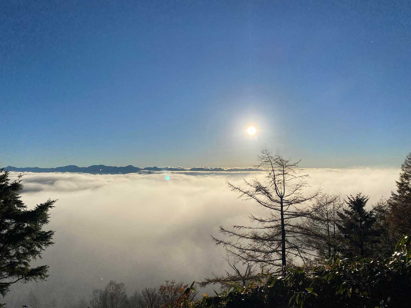 最高😃
