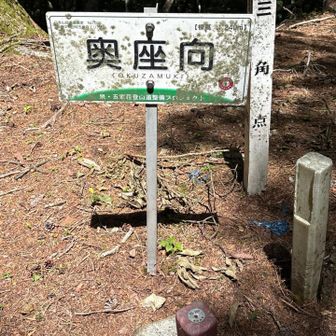 ここからの下山路の最後あたりは
雨天当日や雨天翌日は
かなり⚠️危険です。
とても狭い登山路で、片側が大きく
切れ落ちています。
避けた方が無難ですね。