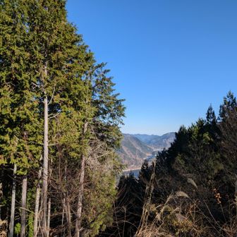 あぁ、確かに奥多摩湖がよく見下ろせますね