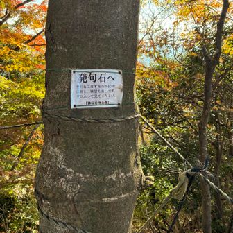 ロープ張ってあって、入っちゃいけないと思ったら、ぜひと書いてあるので、ロープを潜っていきました。