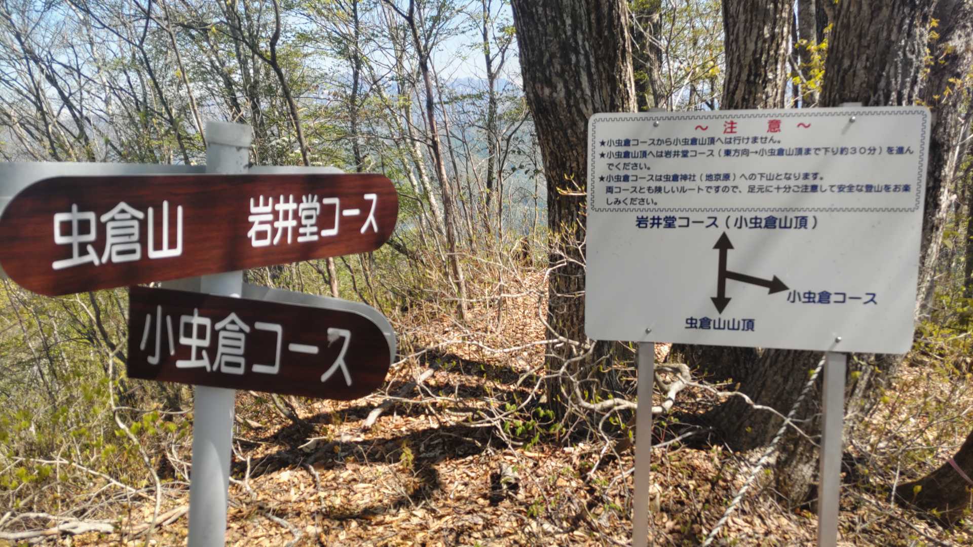 「両コースとも険しいルートですので足元に十分ご注意して…」