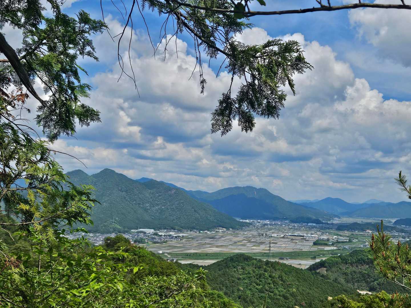 うーん、丹波の山々が見える