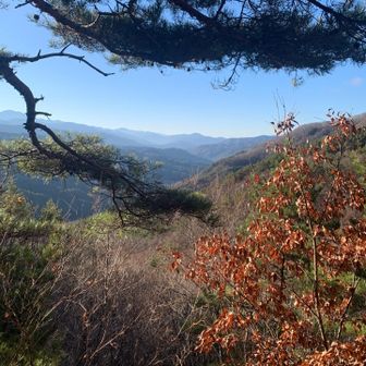 立石からの南アルプス
仙丈ケ岳・二児山に戸倉山
