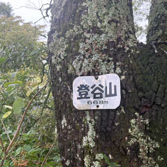 登谷山の山頂。
