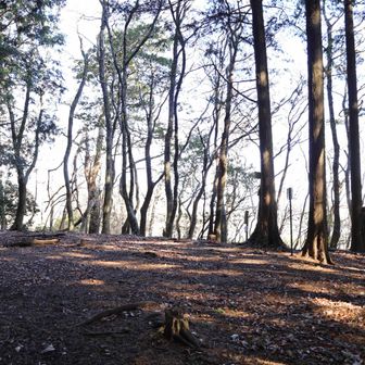さらに尾根を行くと山頂に。少し開けてますが展望はありません。