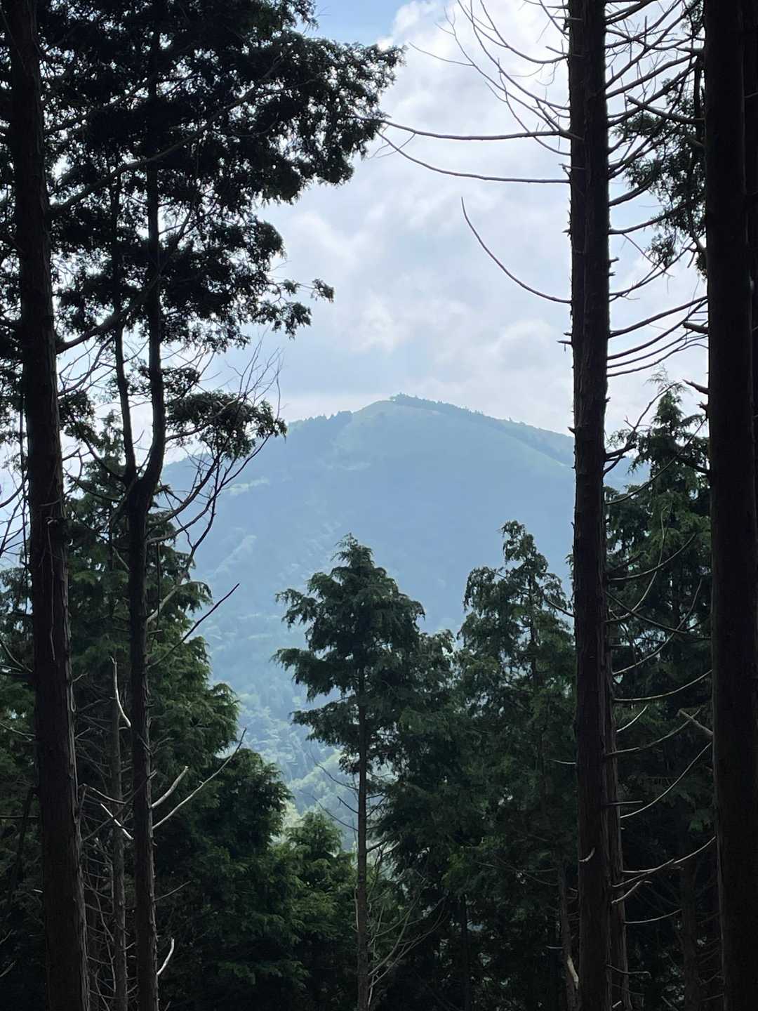 一山〜遠いな