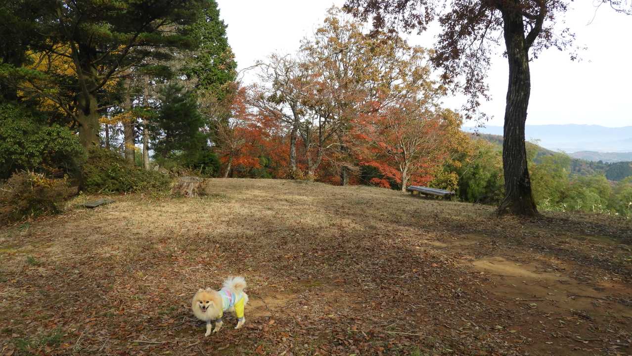 登頂！神々の宿る八雲山の山頂！
 山頂は広くてきれい❤️