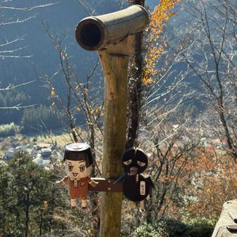 こんにちは😊✨
愛されてる神社だと感じました⛩️