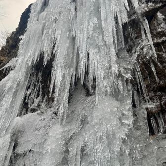 落ちてきそうでこわいけど近寄る🧊