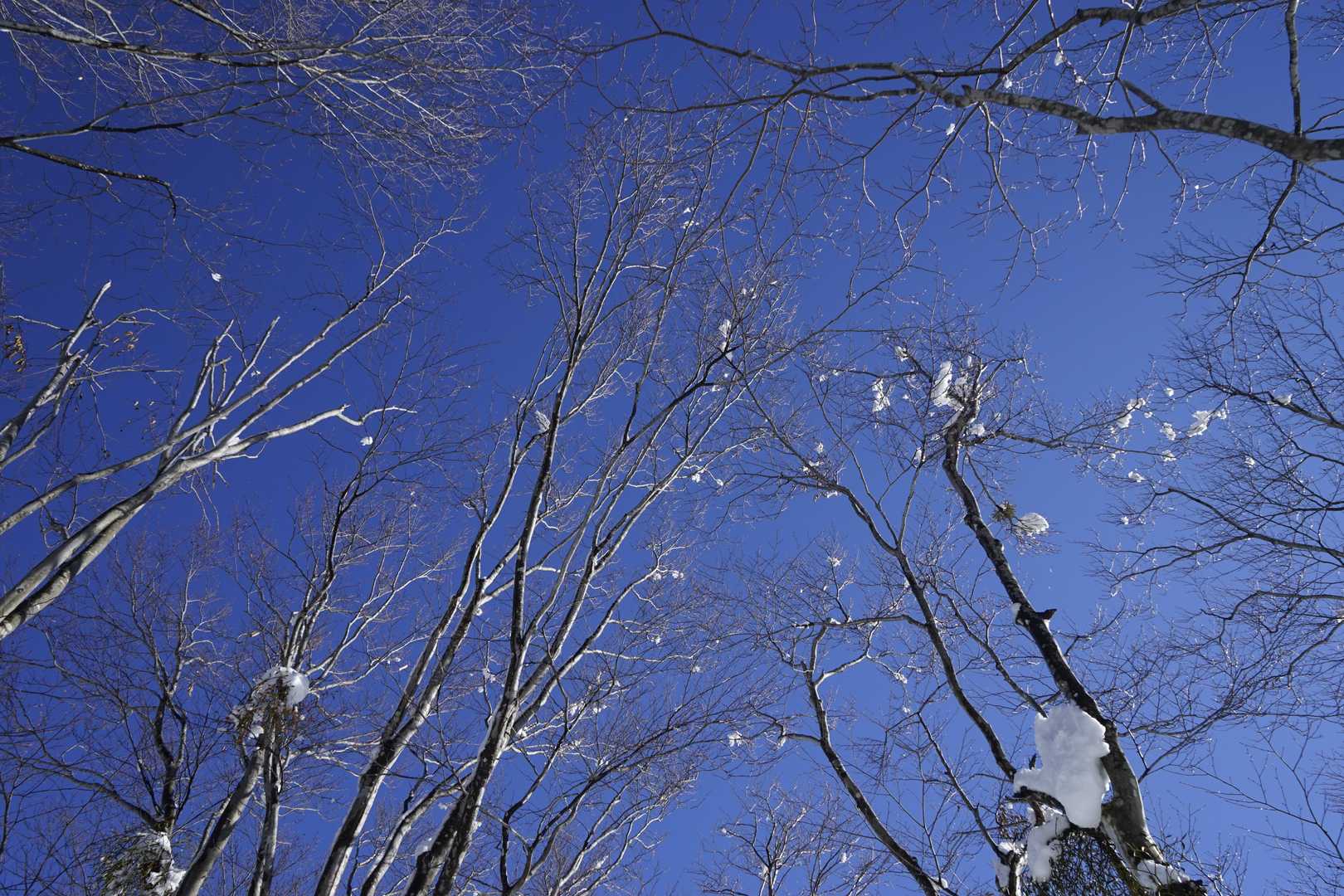 いい天気☀
こんな日に仕事なんてしてられんでしょ。