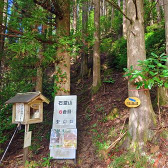 石堂山6合目登山口 さぁ～張り切って登って行きましょう✌️