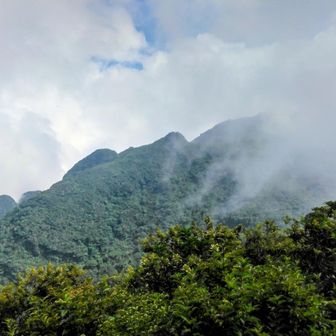 ガスの向こうに平成新山
