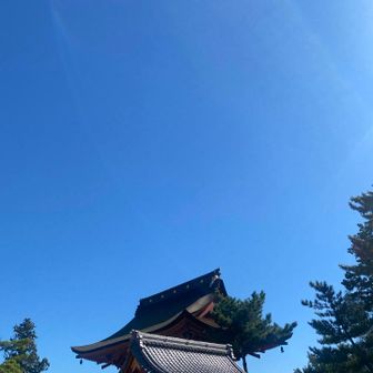 快晴です。
