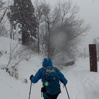 登山口に戻って来ました