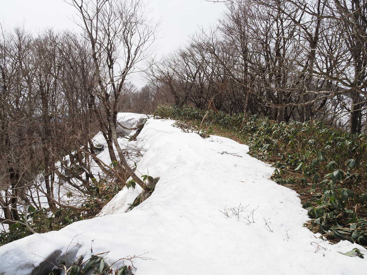 雪庇の右端を通ってテクテクと歩いていると・・・