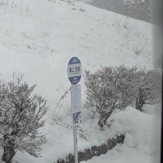 霧ヶ峰・車山・大笹峰 14:50のバスに乗りました現金のみです。