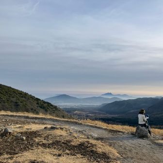 由布岳もくっきり