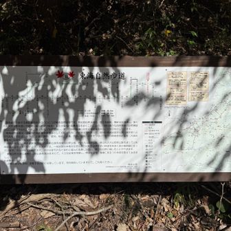 いつか踏破するぞ！