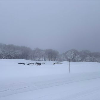 駐車場
悪天候ゆえ、入山者少なめ
