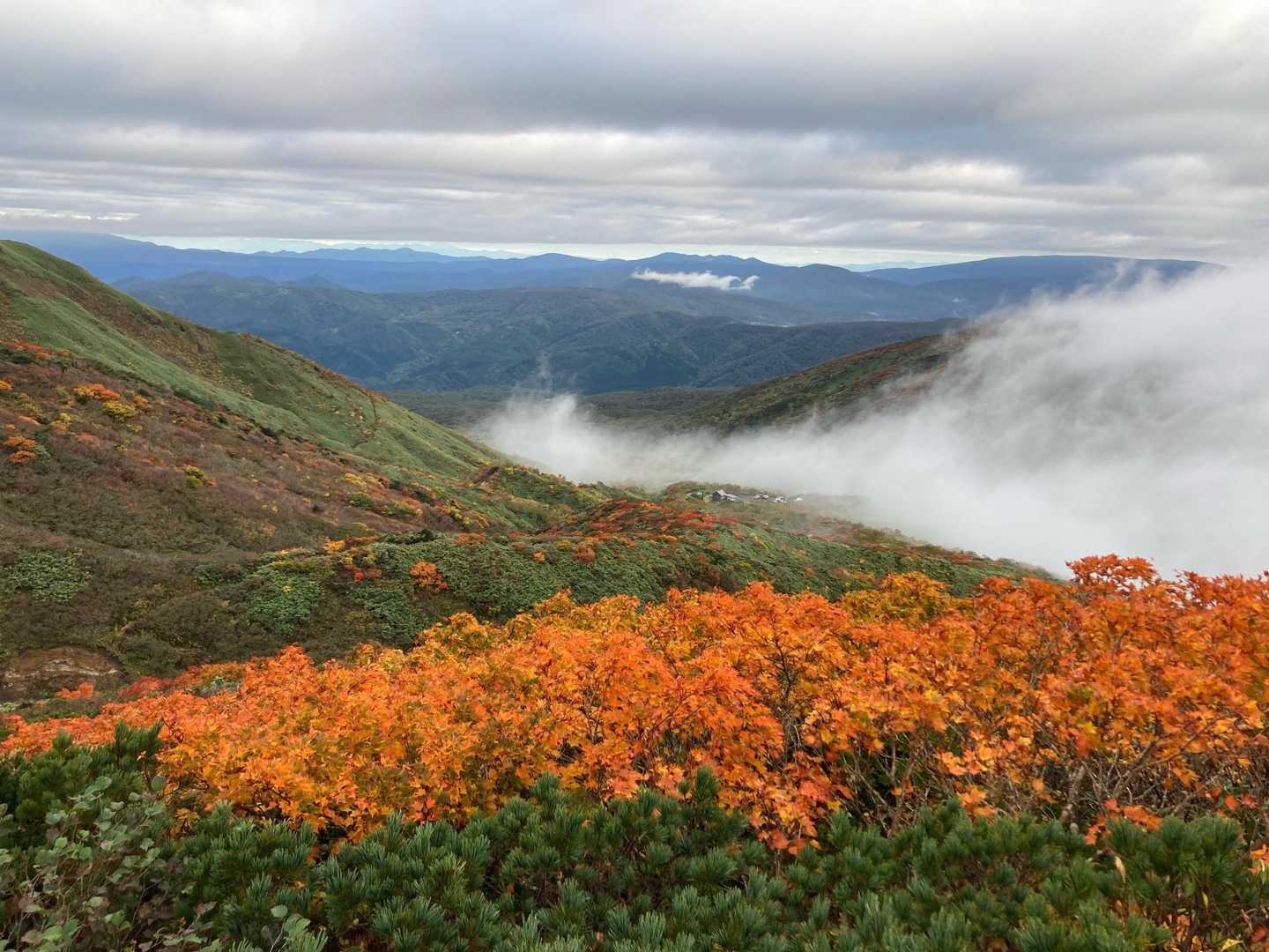 秋田駒ケ岳八合目登山口-横岳-駒池 周回コースの写真