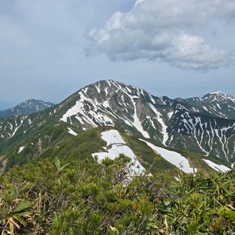 越後三山を望む✨
中央に中ノ岳😊八海山と越後駒ケ岳を従えているような威風堂々とした山容です😄