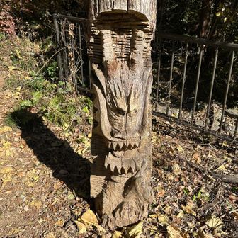 龍🐉
ほんとは辰年だった去年登る予定がタイミング合わず、今回ようやく😊✨
昨日の三頭山、今日の龍崖山、行きたいところに行けて嬉しい☺️