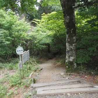 まず緩やかにそこそこに下り。最後ここ登るんだよね