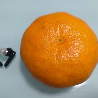 ss