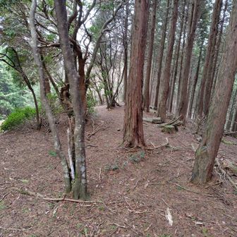 だからないんよ😂

そして、どうやらここが岐阜100座目だったようなのだ😅