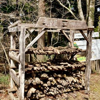 山頂付近には、昆虫のお宿(顔(